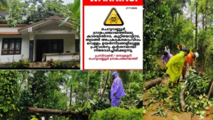ചെറുവണ്ണൂർ പഞ്ചായത്ത് പതിമൂന്നാം വാർഡിൽ  വീടിന് മുകളിൽ മരം  കടപുഴകി വീണു.
