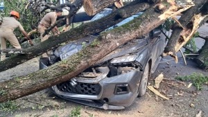 ആന്തട്ട ഗവ: യുപി സ്കൂളിന്  മുന്നിൽ തണൽമരം കടപുഴകി  വീണു.ഇരു ചക്ര വാഹനക്കാർക്ക് പരിക്കേറ്റു.കാർ തകർന്നു.