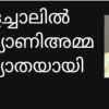 പൂളച്ചാലിൽ കല്യാണി അമ്മ നിര്യാതയായി.