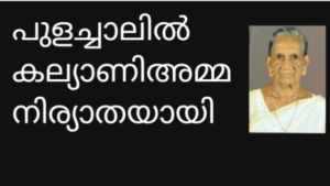 പൂളച്ചാലിൽ കല്യാണി അമ്മ നിര്യാതയായി.